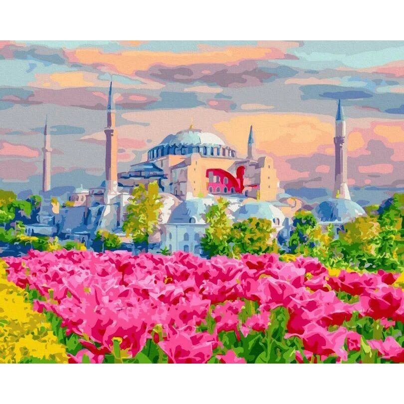 Картина по номерам "Стамбульские цветущие поля" ★★★