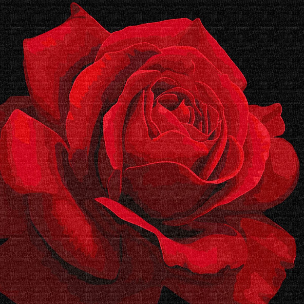 Картина за номерами "Червона троянда" ★★★