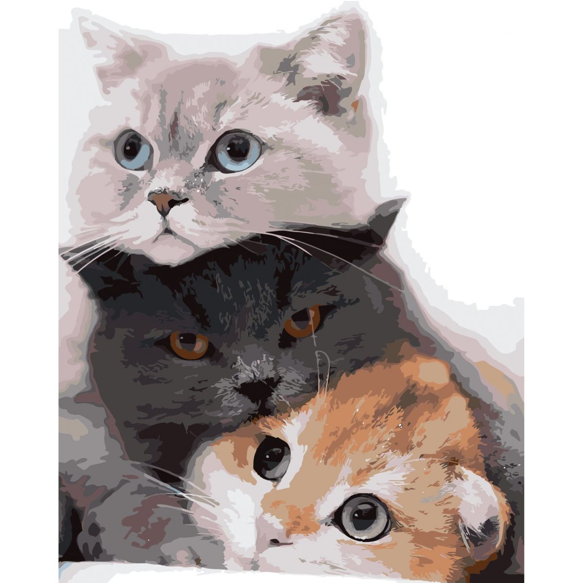 Картина за номерами "Три коти"