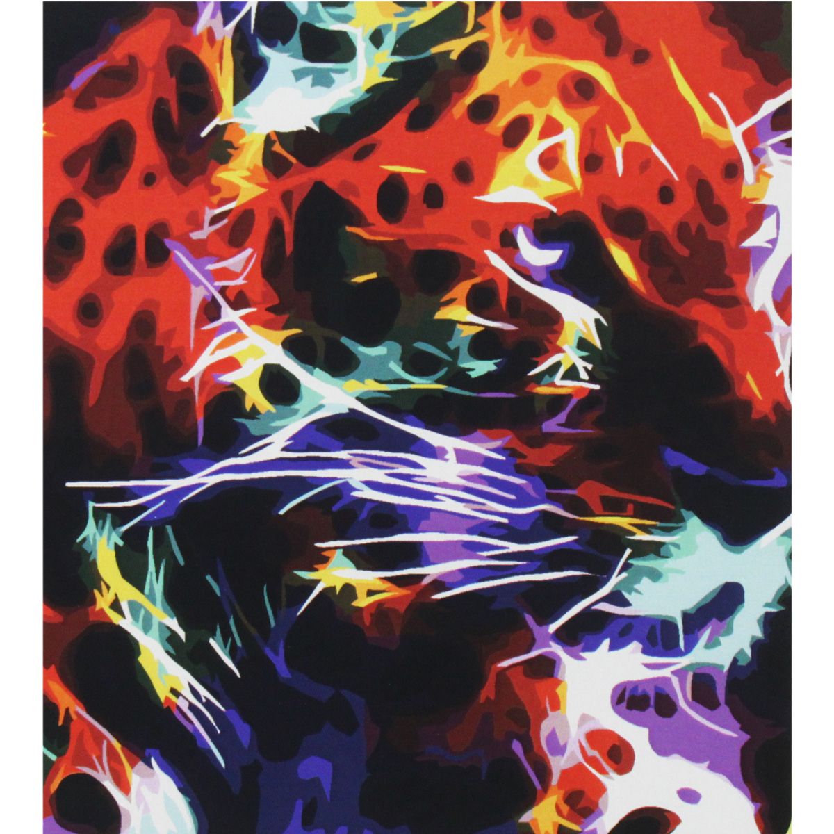 Картина по номерам "Неоновый гепард"