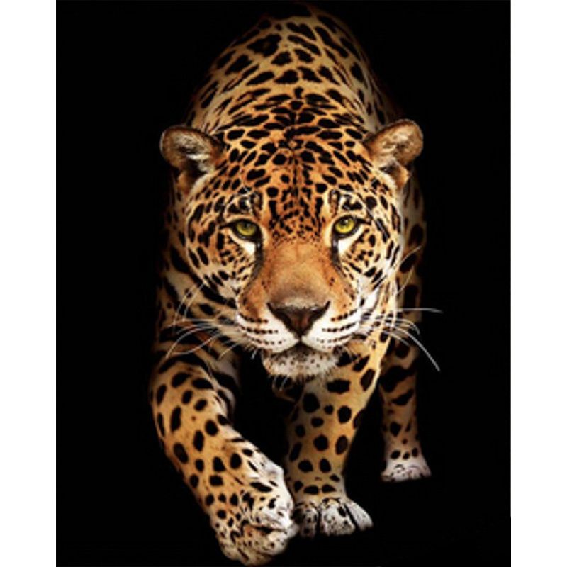 Алмазная мозаика "Встреча с леопардом" 40х50 см