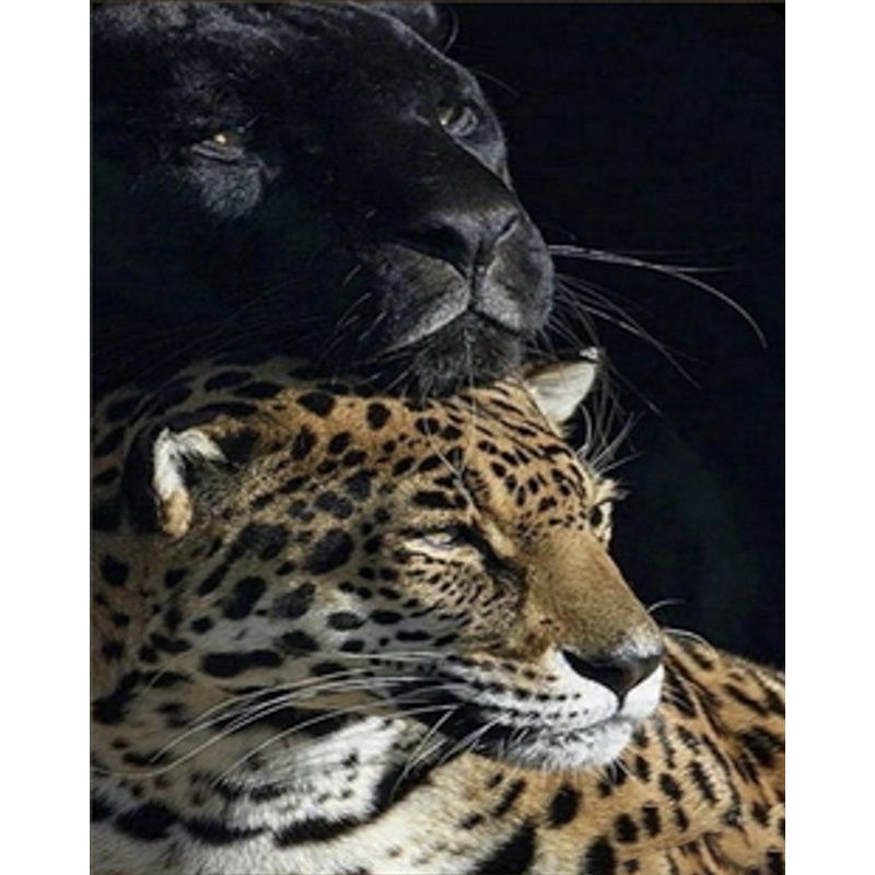 Алмазная мозаика "Пантера и леопард" 30х40 см