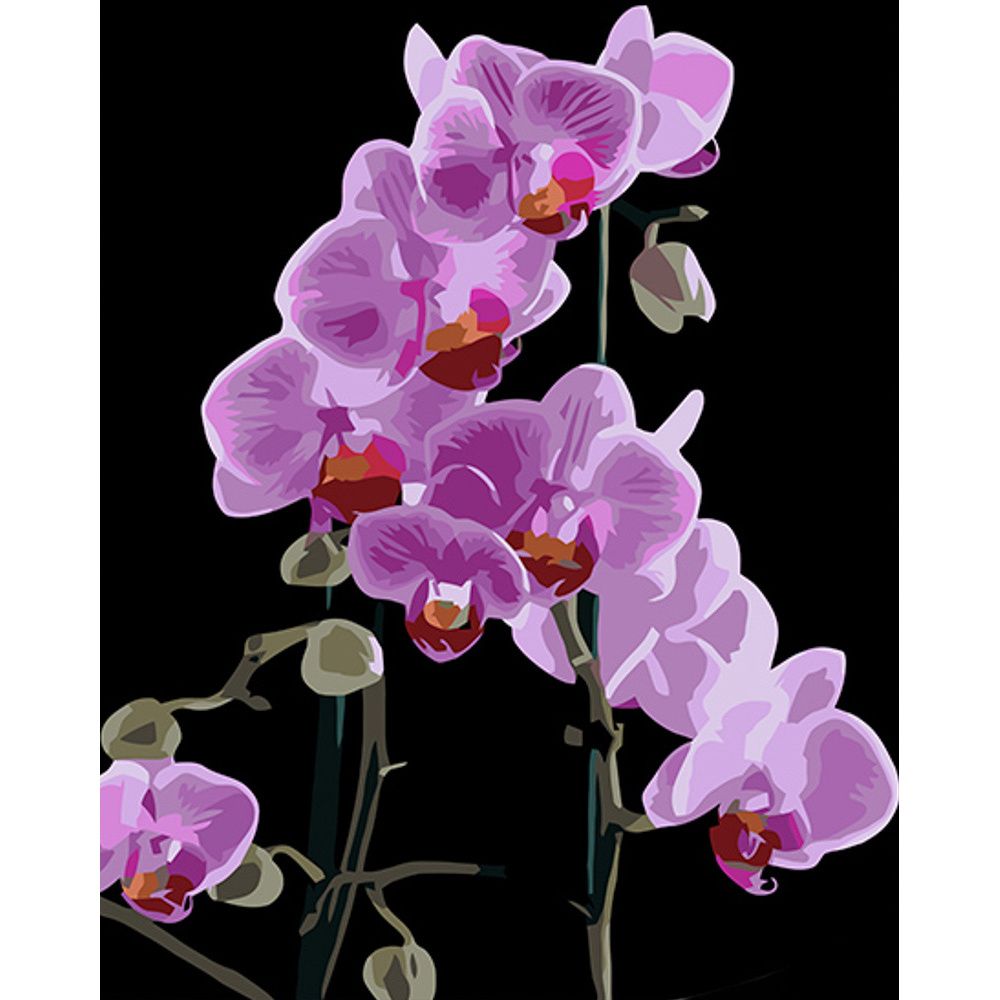 Картина за номерами на чорному фоні "Вишукана орхідея" 40х50