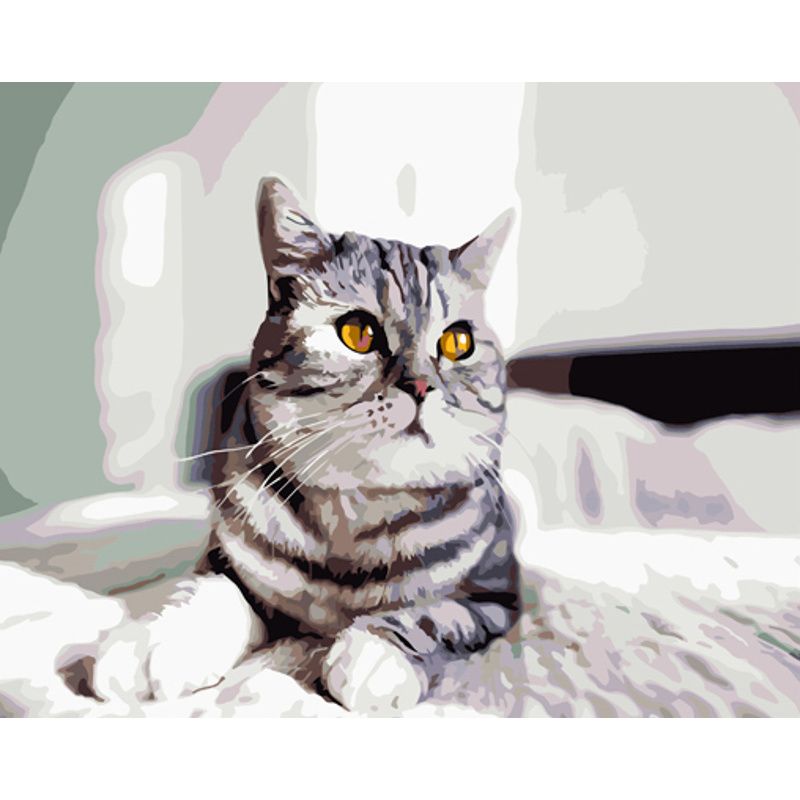 Картина по номерам "Игривый серый кот" ★★★ 40х50 см