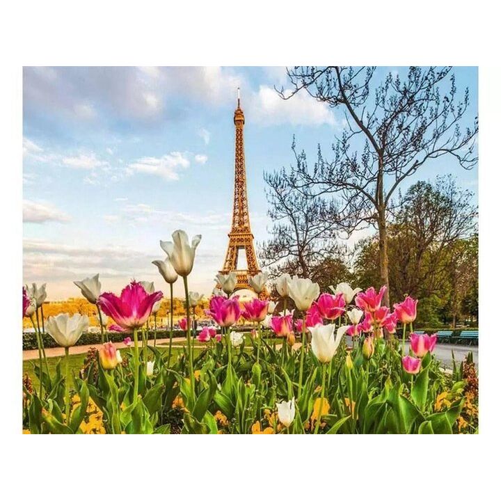 Картина за номерами "Весна в Парижі" 40х50 см