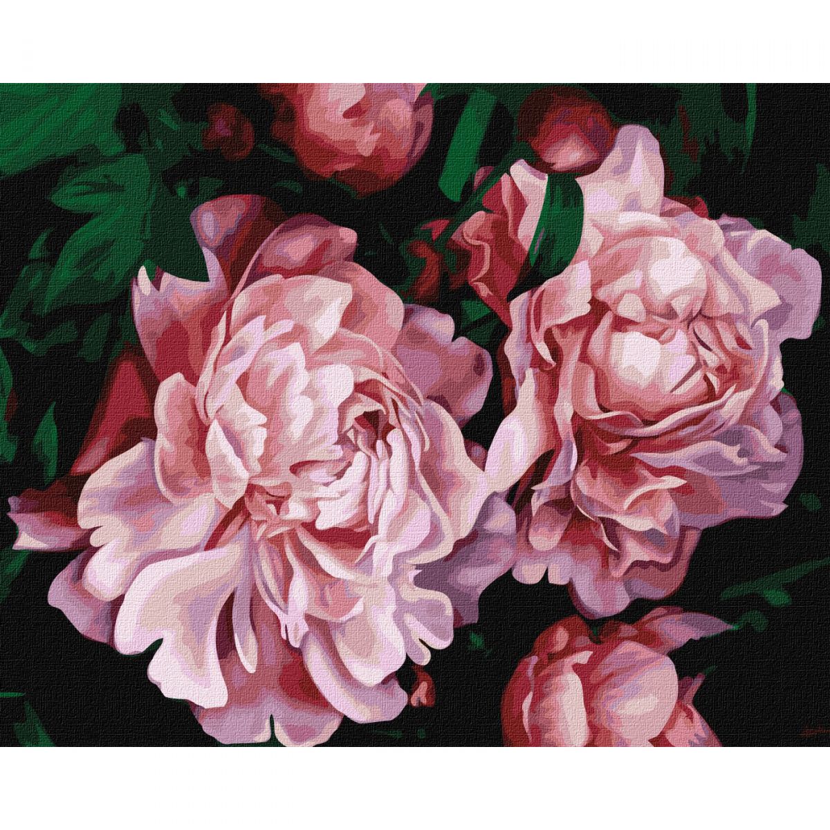 Картина за номерами "Пишне цвітіння" 40х50 см
