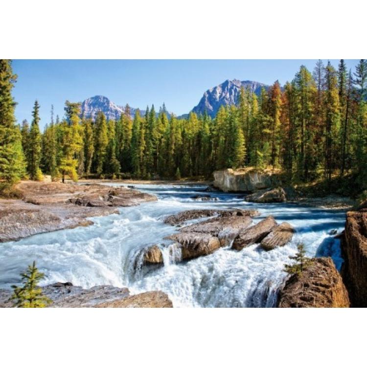 Пазли "Гірська річка, Athabasca river, Jasper National Park, Canada" 1500 ел