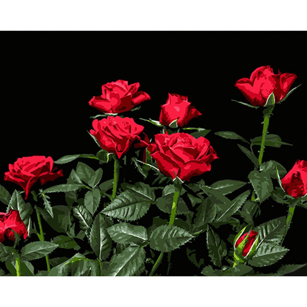 Картина за номерами на чорному фоні "Яскраві червоні троянди" 40х50