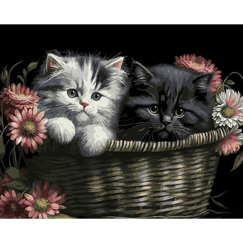 Картина за номерами на чорному фоні "Кошенята у кошику" 40х50
