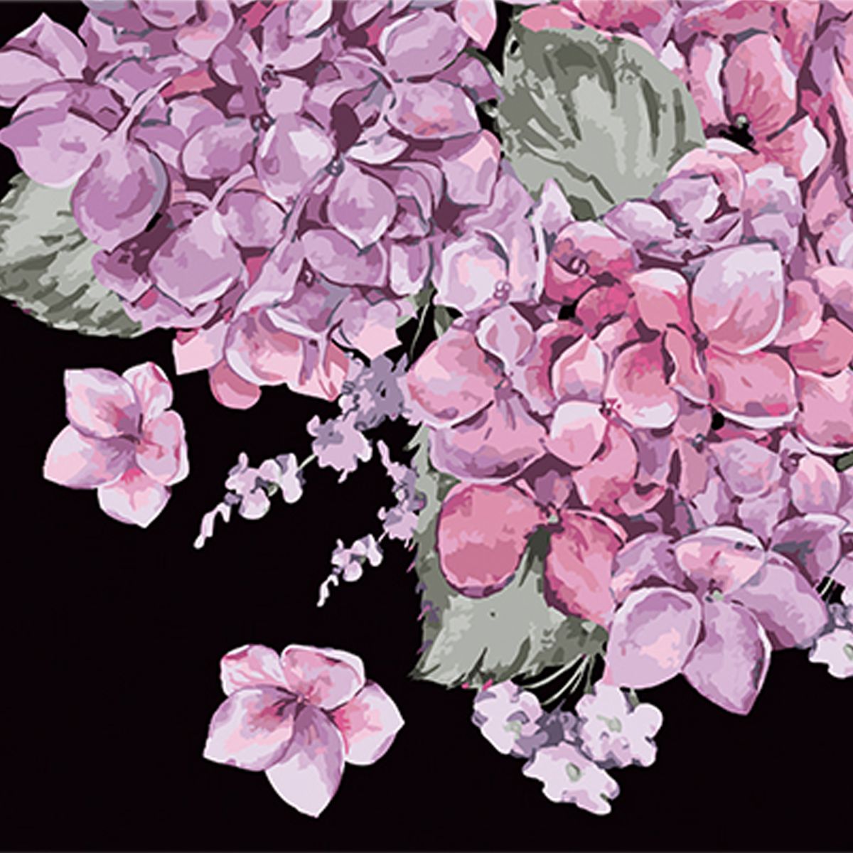 Картина за номерами на чорному фоні "Цвітіння гортензій", 40х40 см