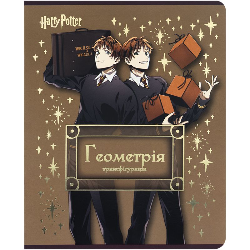 Зошит предметн. 48 арк. , кл. , фольга+УФ, HP, геометрія фото 1 Зошит предметн. 48 арк. , кл. , фольга+УФ, HP, геометрія фото 1