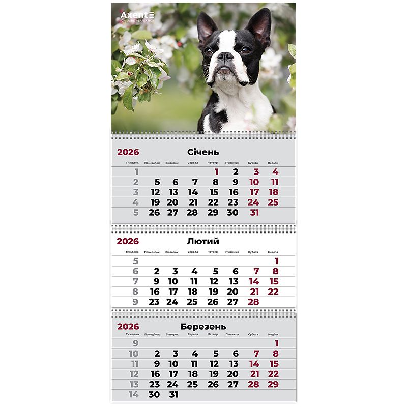 Календар настінний квартальний 2026 р. ,3 пр. Dogs 2 фото 1 Календар настінний квартальний 2026 р. ,3 пр. Dogs 2 фото 1