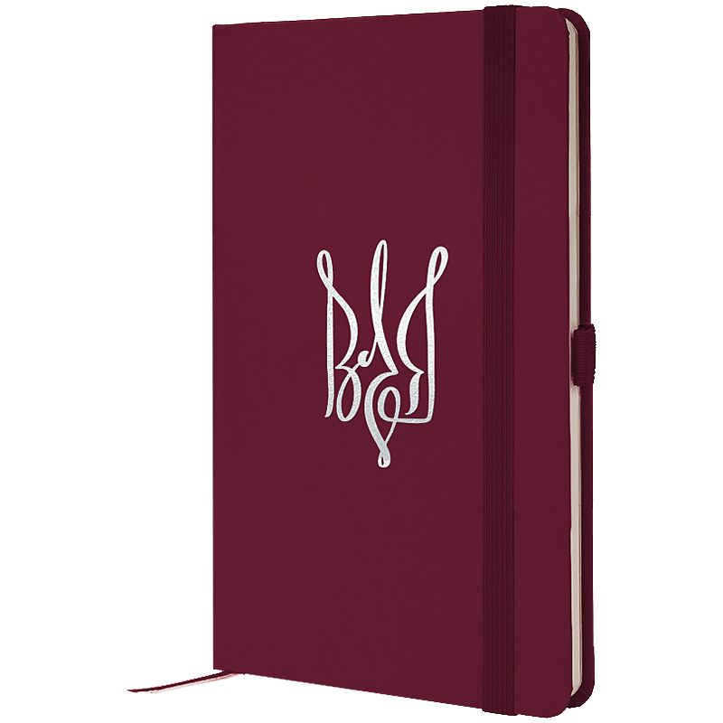 Книга записна Partner, 125*195, 96арк, кліт, винна, Воля фото 1 Книга записна Partner, 125*195, 96арк, кліт, винна, Воля фото 1