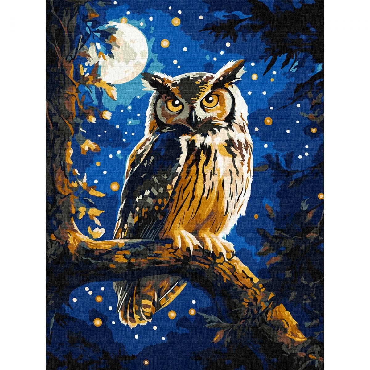 Картина за номерами з фарбами металік "Нічна сова" 30х40 см  фото 1