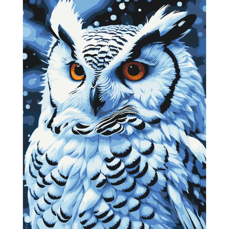 Картина за номерами "Нічний птах" 40х50 см  фото 1