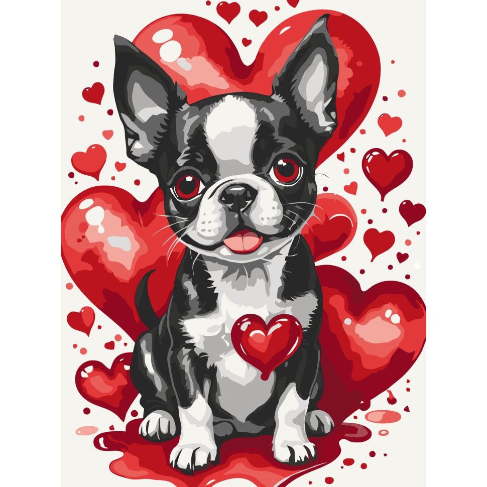 Картина за номерами "Вухатий Валентин" 30х40 см  фото 1