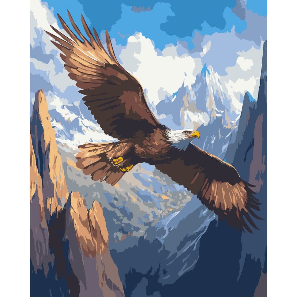 Картина по номерам "Політ над безмежжям" 40*50 см  фото 1