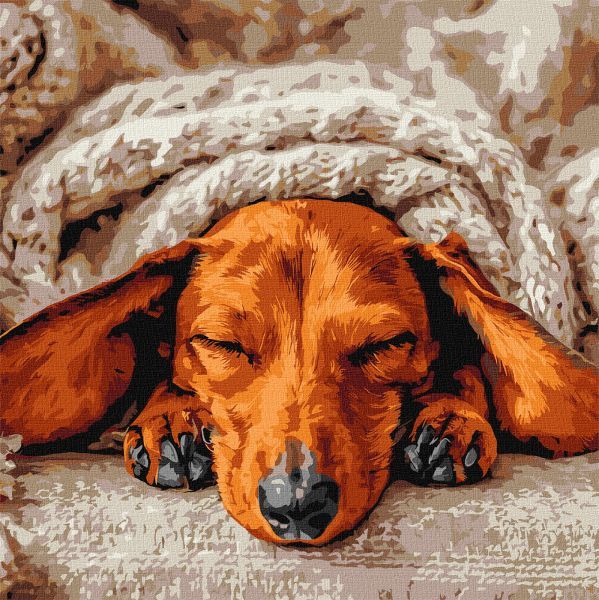 Картина за номерами - Солодкий спокій 40х40 см.  фото 1