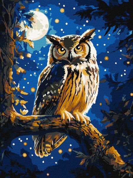 Картина за номерами - Нічна сова з фарбами металік extra 30х40 см.  фото 1