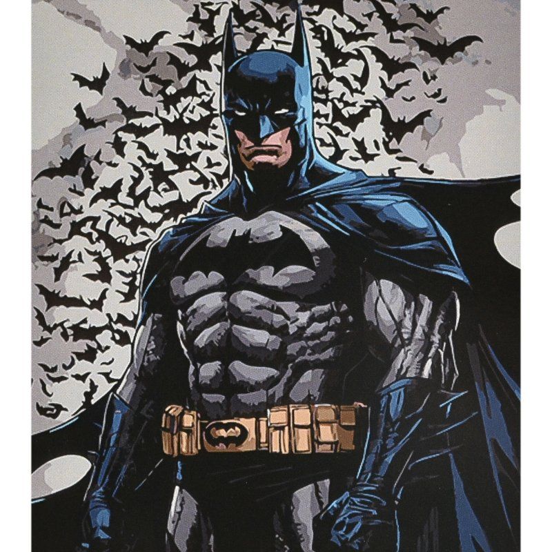 Картина по номерах "Герой у накидці" 40х50 см  фото 1