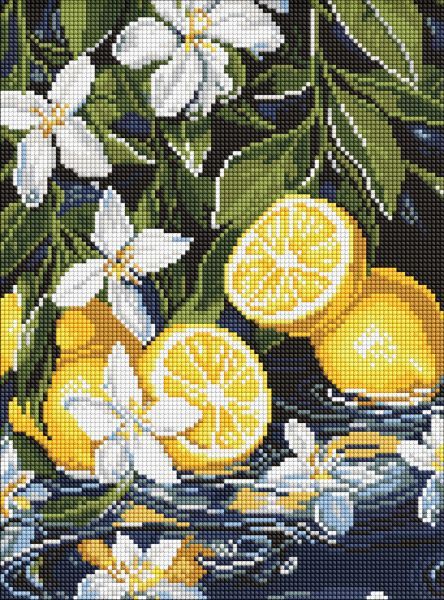 Алмазна мозаїка - "Лимони в розрізі" ©art_selena_ua, 30х40см  фото 1