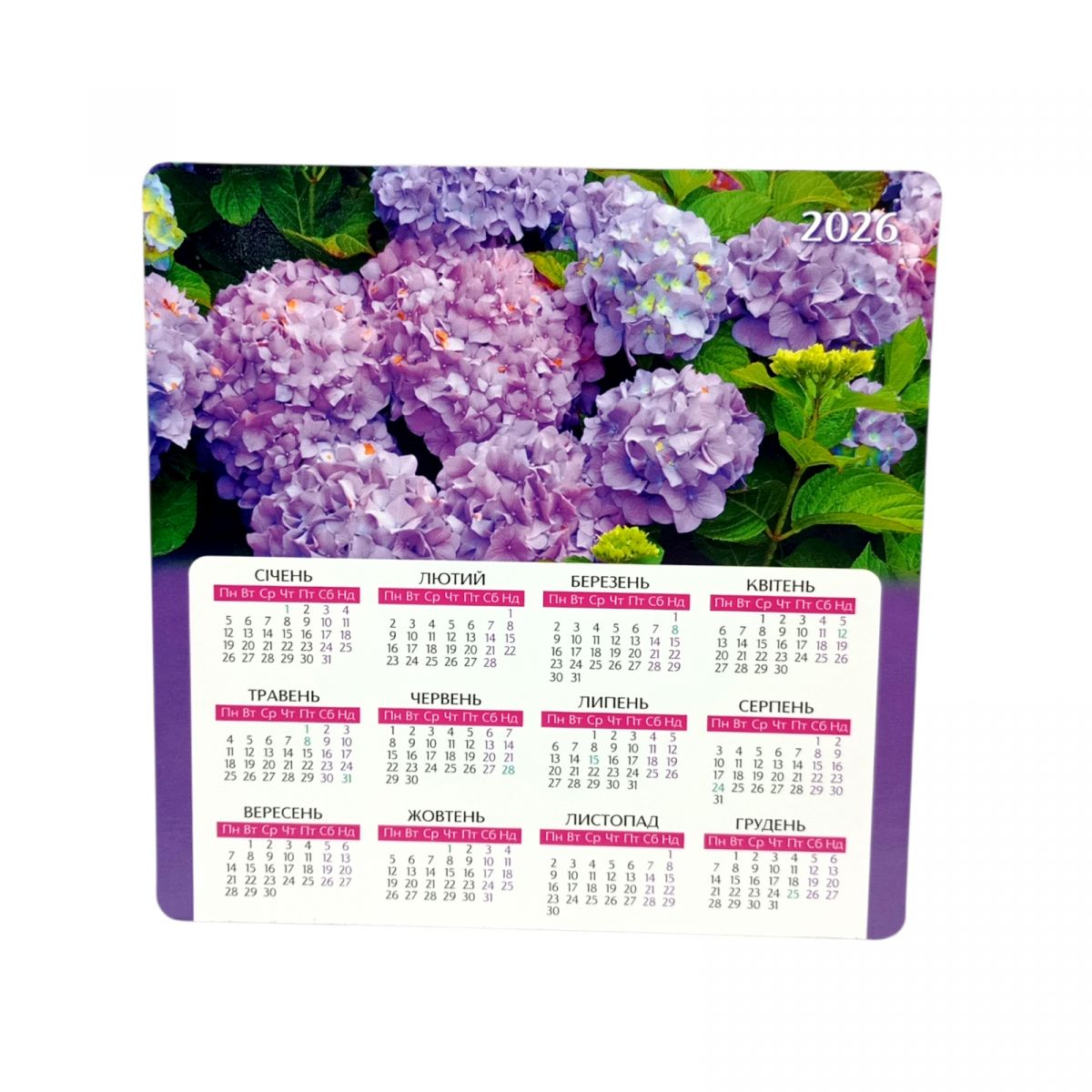 Календар на магніті 2026 рік.  Квіти  фото 1