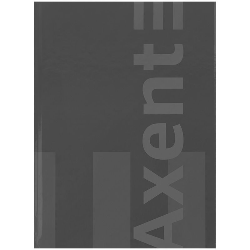 Книга записна А4-, 203*273 мм,96 арк. , кл.  One color, сіра  фото 1