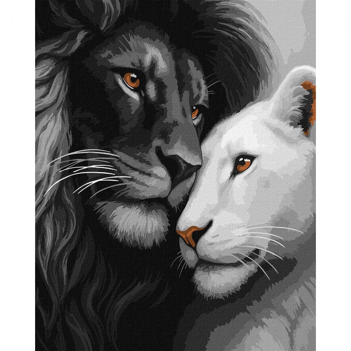 Картина по номерам "Влюбленные львы" 40х50см  фото 1