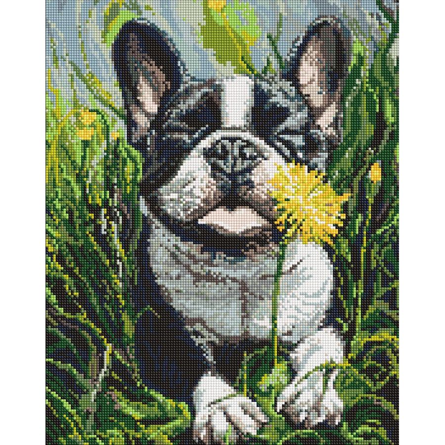 Алмазна мозаїка "Пес і кульбаба" 40х50 см  фото 1