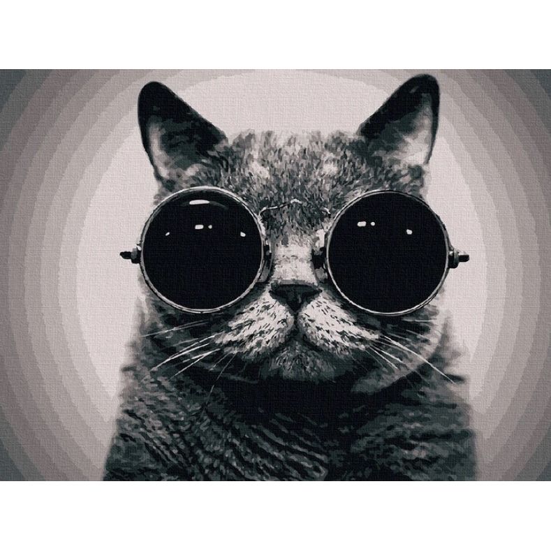 Картина за номерами "Кіт Морфеус" 40х50 см  фото 1