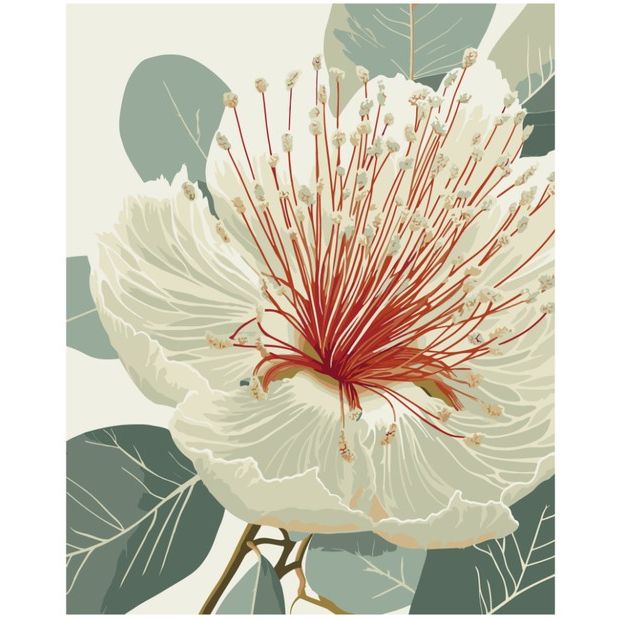 Картина за номерами "Квітучий евкаліпт" 40х50 см  фото 1