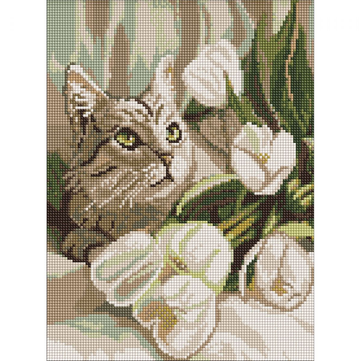 Алмазна мозаїка "Зеленоокий кіт з тюльпанами" 30х40 см  фото 1