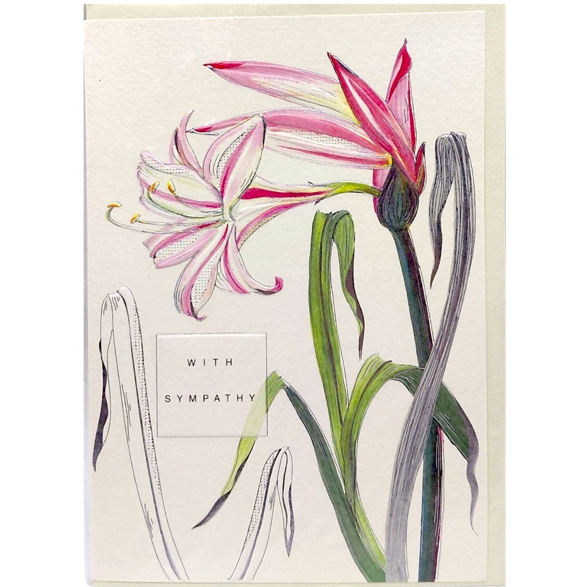 Открытка 167х118 мм, набор 10 шт.  фото 1