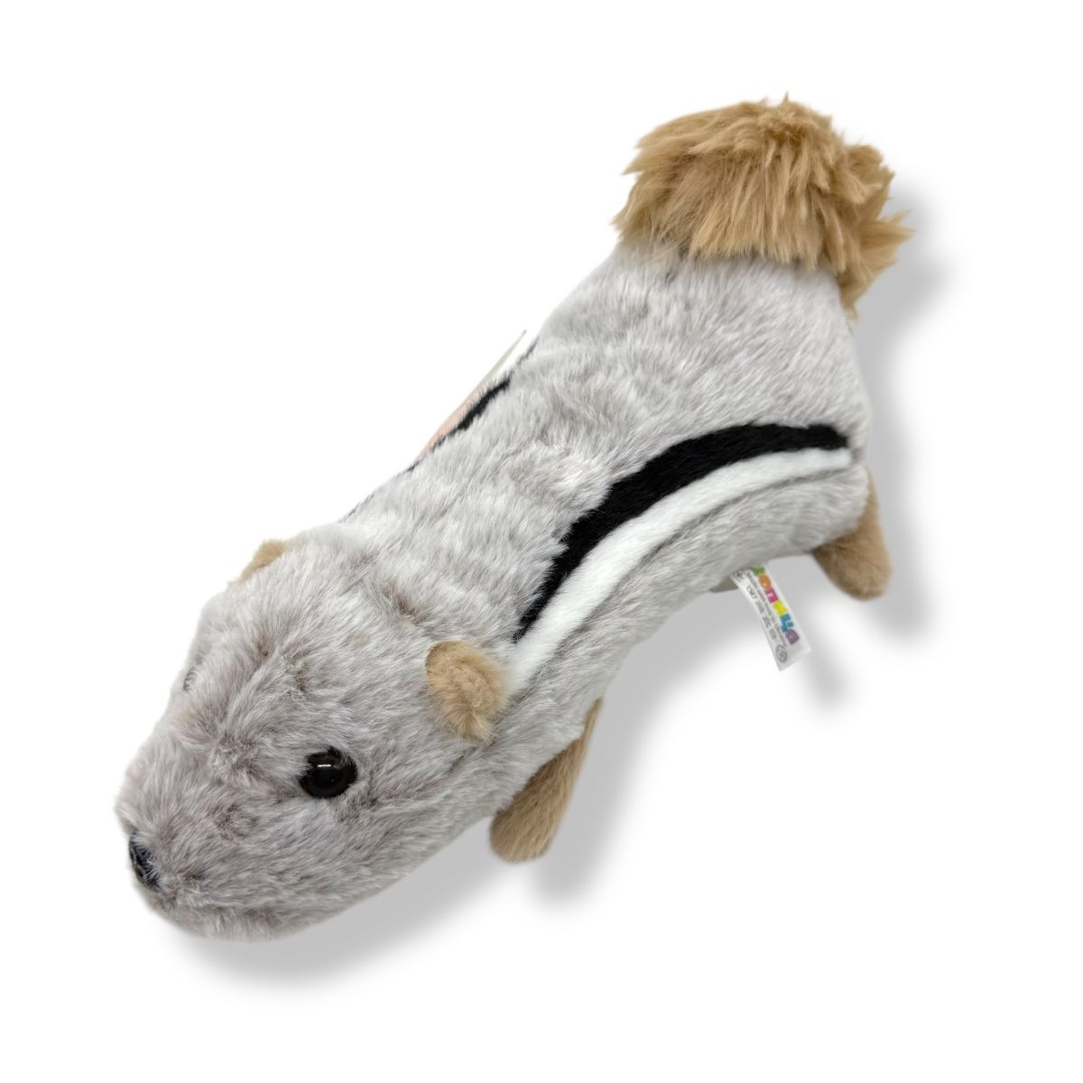 Білка Лілу  фото 1