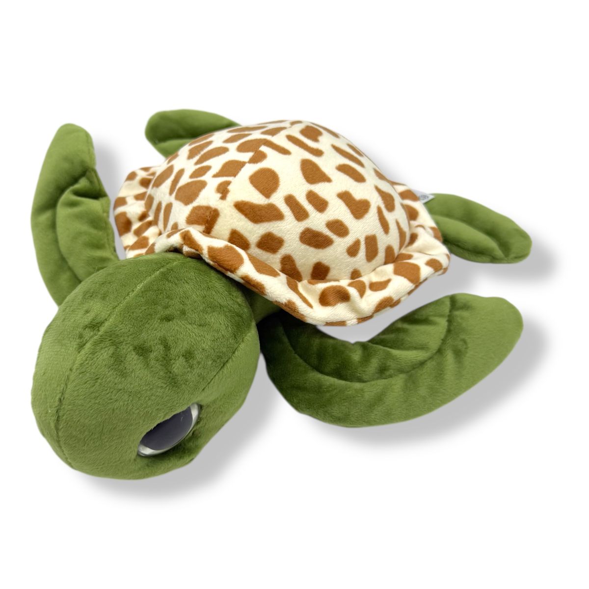 Черепаха коричневая  фото 1