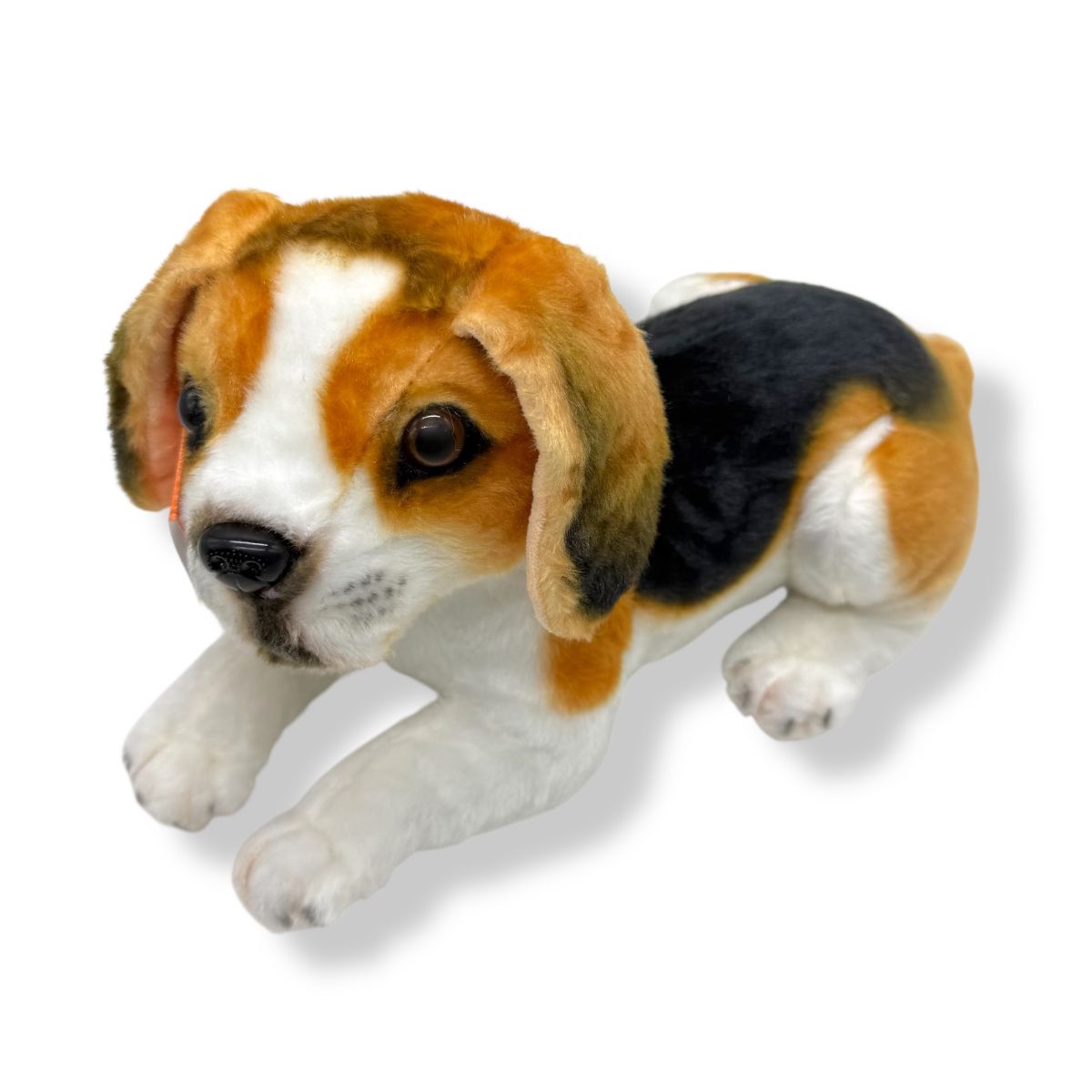 Пес Оскар 2 м  фото 1