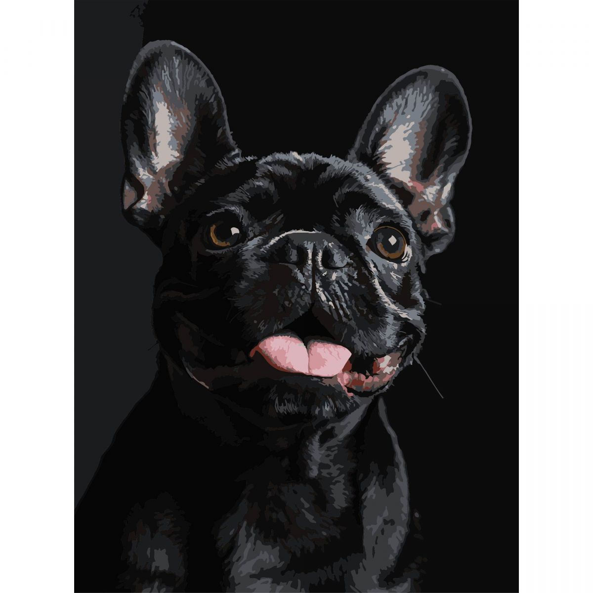 Картина по номерах на чорному фоні "Французький чорний бульдог" 30х40 см  фото 1