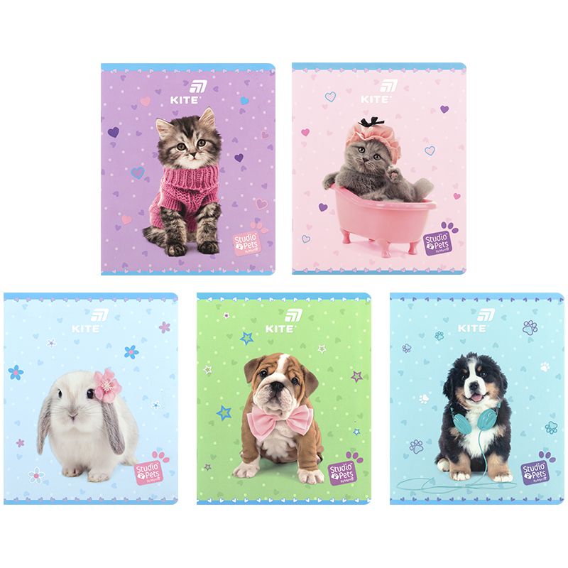 Тетрадь 24 л. , кл. , софт тач + УФ лак, SP  фото 1