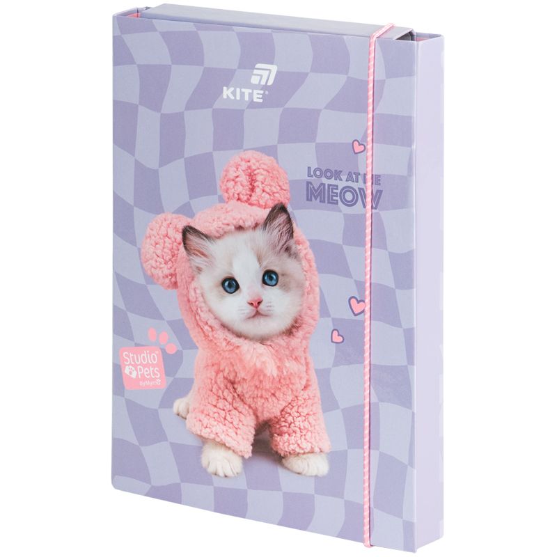 Папка для зошитів В5 на гумці картон, SP  фото 1