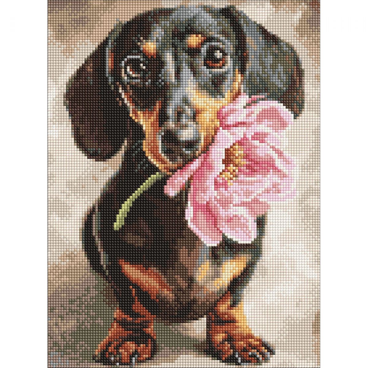 Набір з алмазною мозаїкою "Песик і сюрприз" 30х40см  фото 1