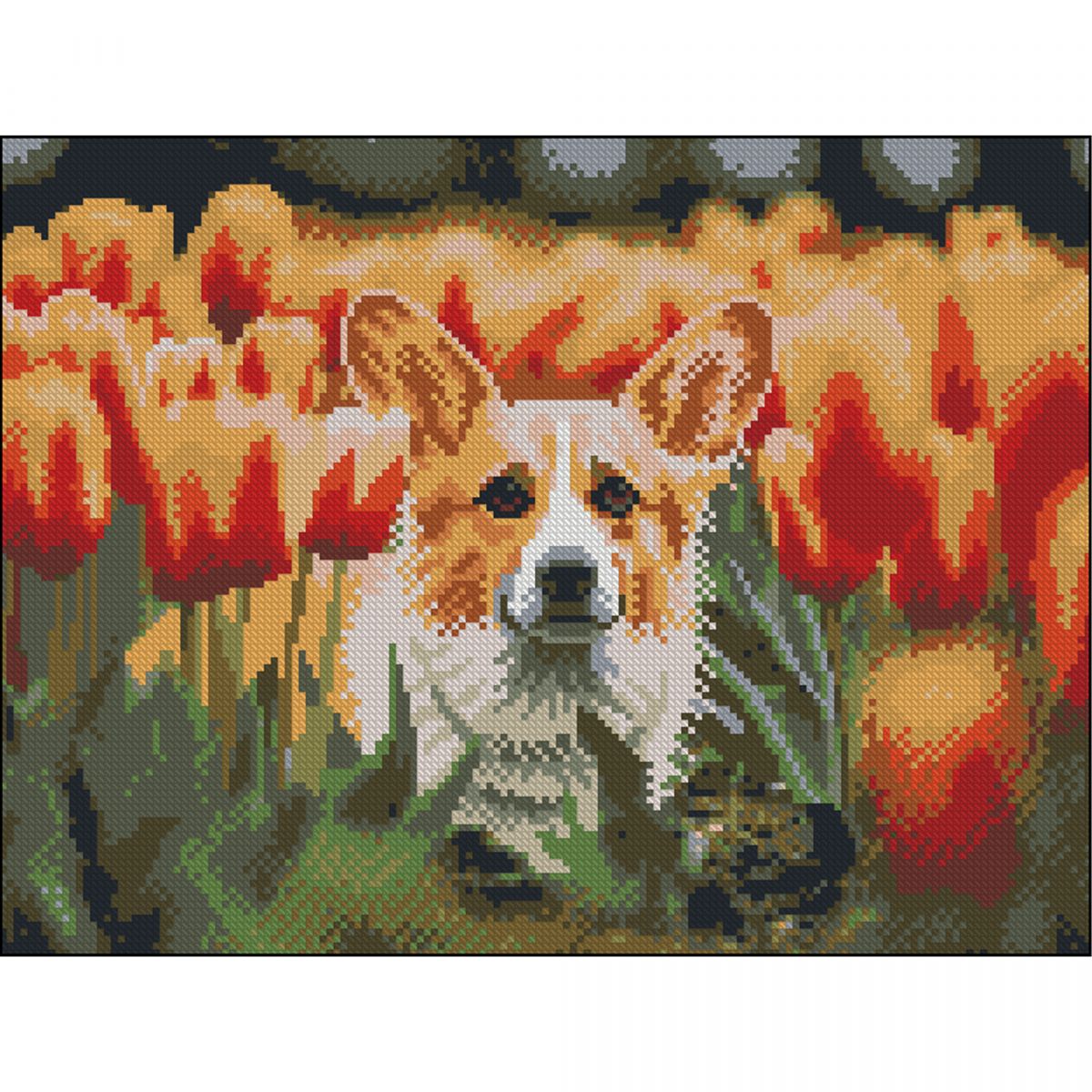 Алмазна мозаїка (картина) "Коргі в тюльпанах" 30х40 см  фото 1