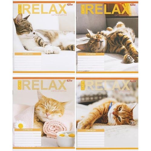 Тетрадь ЦВЕТНАЯ на 18 листов КЛЕТКА "RELAX CATʼS" (20 ШТ)  фото 1