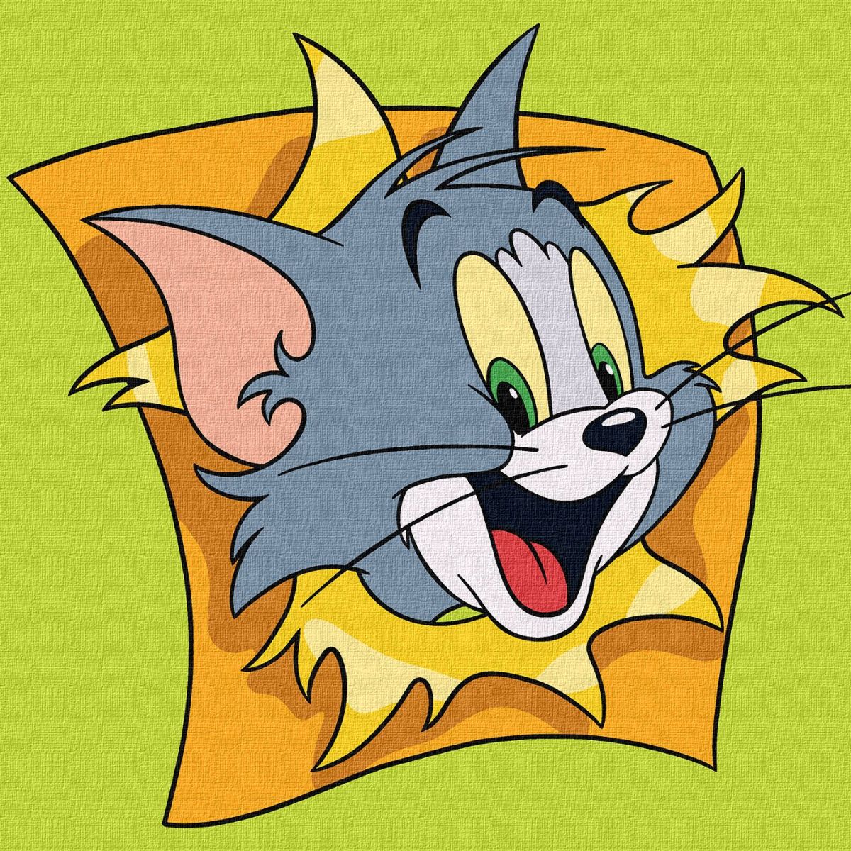 Набір для розпису по номерах для дітей WB "Tom and Jerry: Веселі пригоди" 25х25см  фото 1