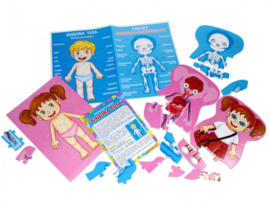 Навчальні пазли.  Будова тіла 13164012У  фото 3