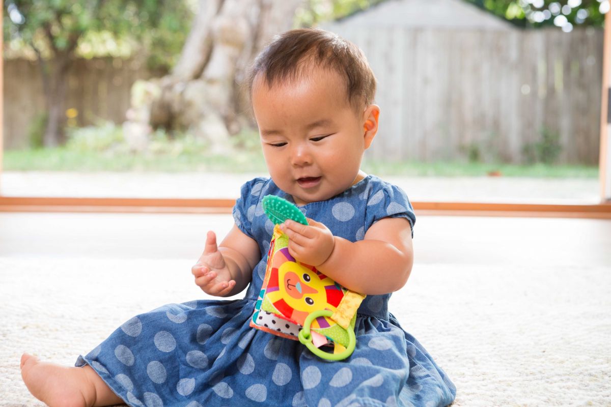 INFANTINO Навесная книга с прорезывателем Животные  фото 3