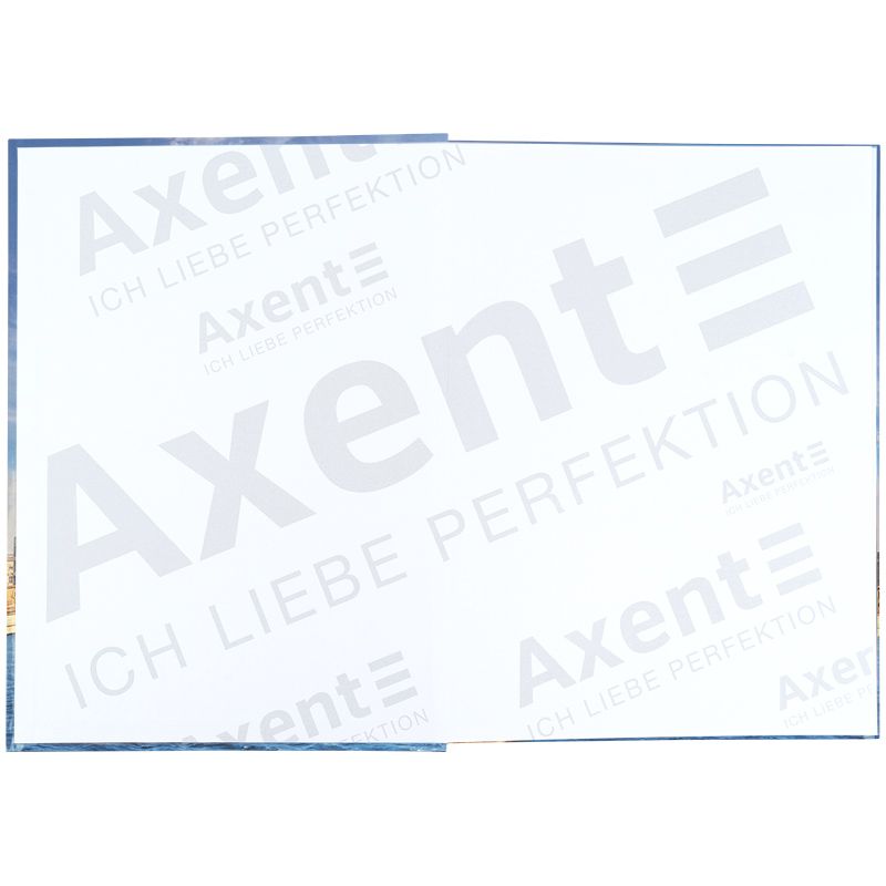 Книга записна А4-, 203*273 мм,96арк. , кліт. , City, Berlin  фото 3