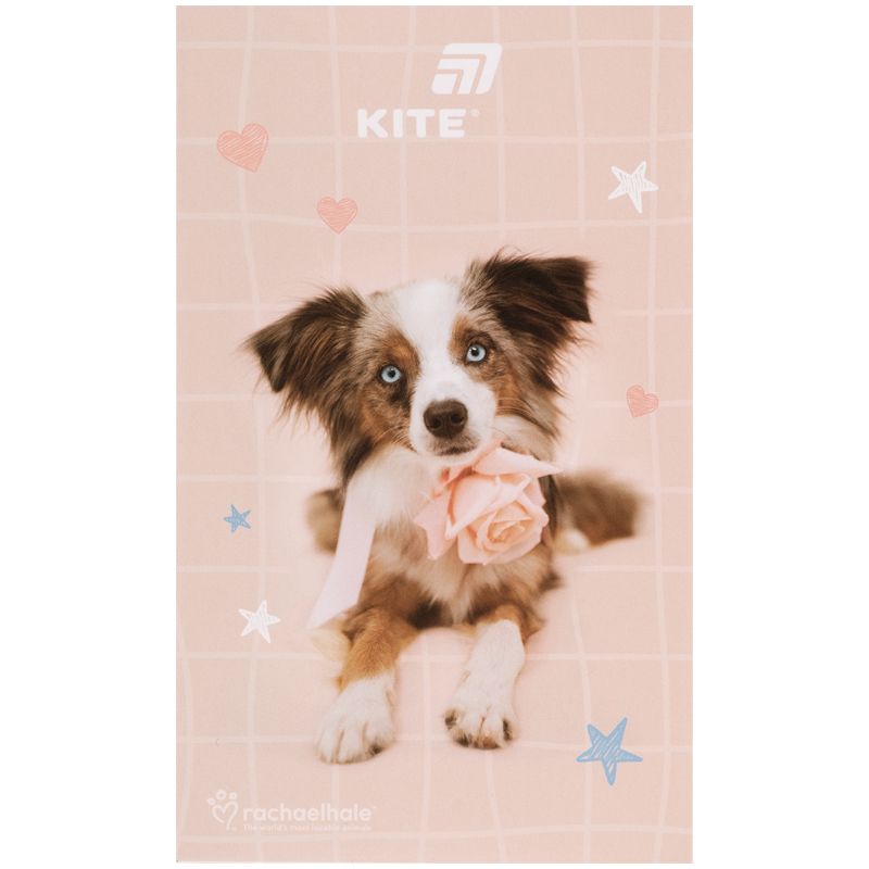 Блокнот-планшет, A6, 50 арк, безлін.  RH  фото 3