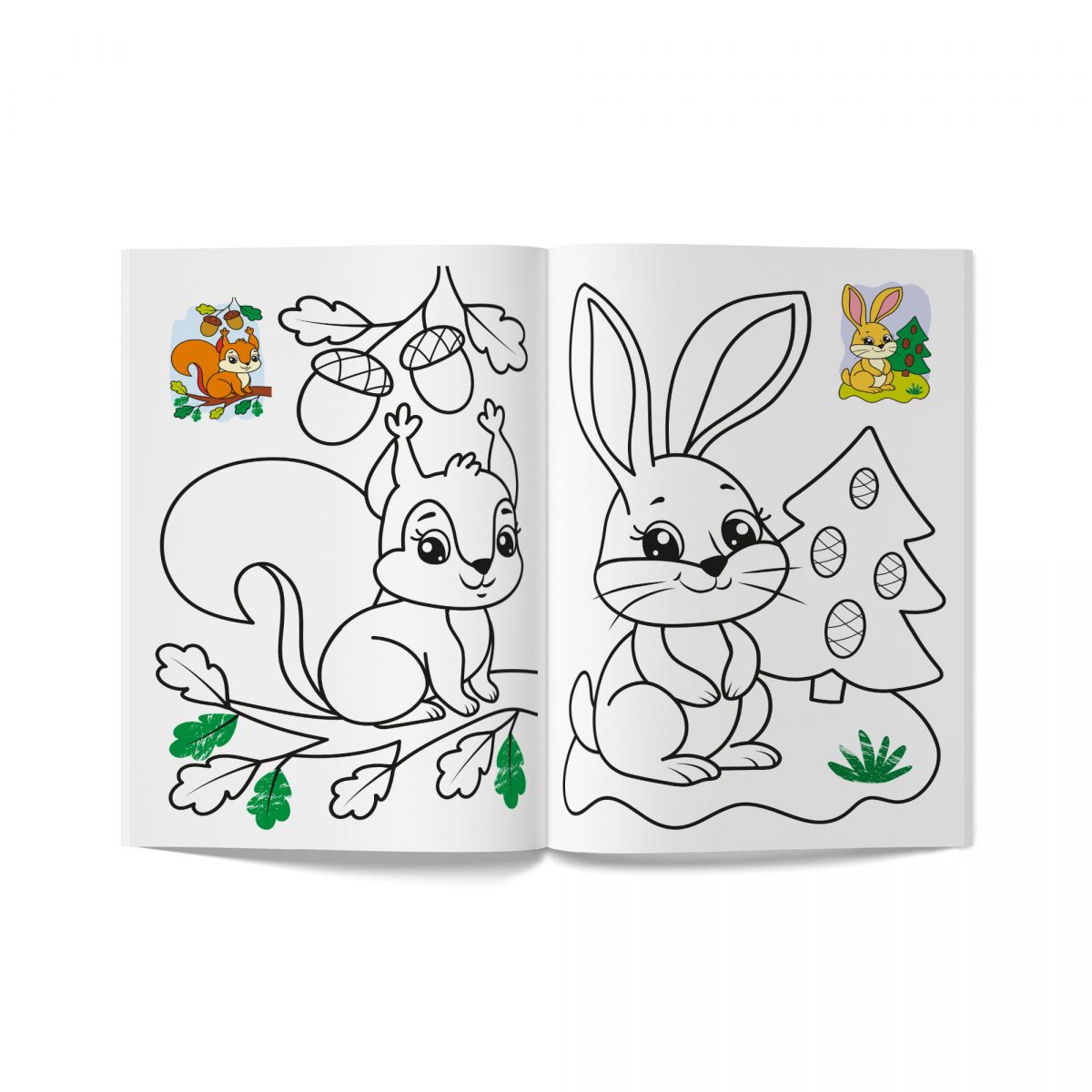 Книга розмальовка "Кольорованка.  Тваринки"  фото 3