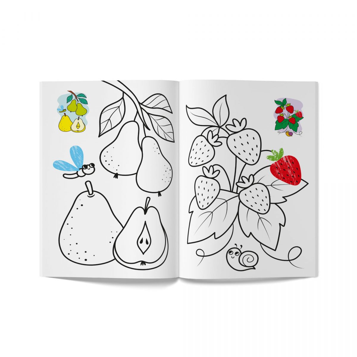 Книга розмальовка "Кольорованка.  Фрукти"  фото 3