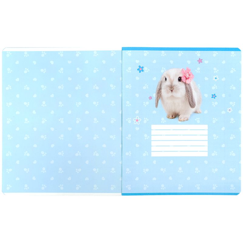 Тетрадь 24 л. , кл. , софт тач + УФ лак, SP  фото 3